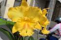 Rlc. Chief Oscar Yellow River